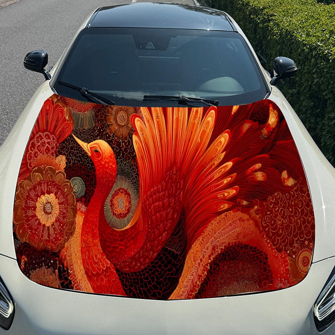 Autocollant de capot de voitur - Car Accessories Phoenix avis et prix